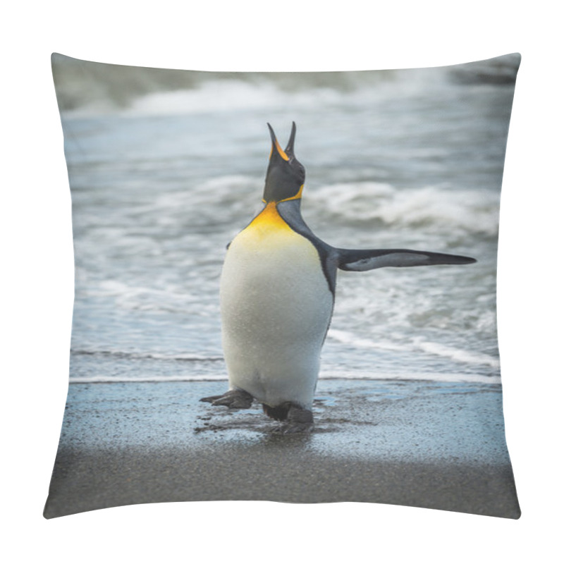 Personality  King Penguin Squawking On Beach At Waterline Pillow Covers