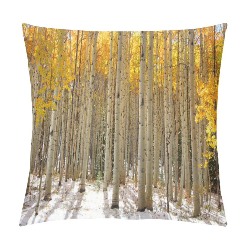 Personality  Aspen Trees Pillow Covers