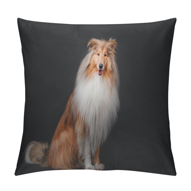 Personality  Rough Collie Dog On Black Background Pillow Covers