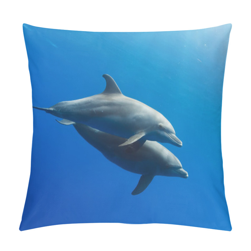 Personality  Dolphins Underwater Pillow Covers