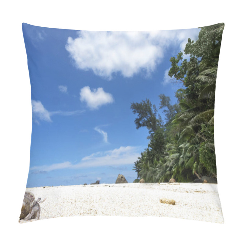 Personality  Hermit Crab Crawling On Sandy Beach , Silhouette Island, Seychelles Pillow Covers