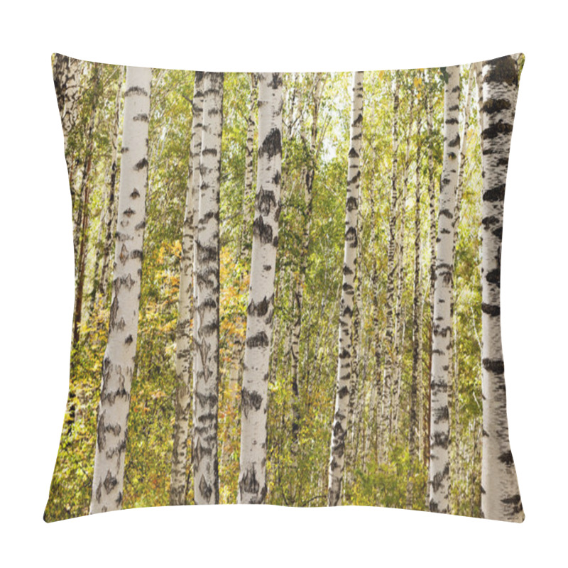 Personality  Birch Trees Pillow Covers