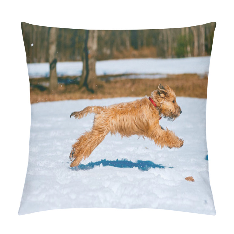 Personality  Happy Pedigreed Domestic Dog Running On Snow With Dark Forest In Background Pillow Covers