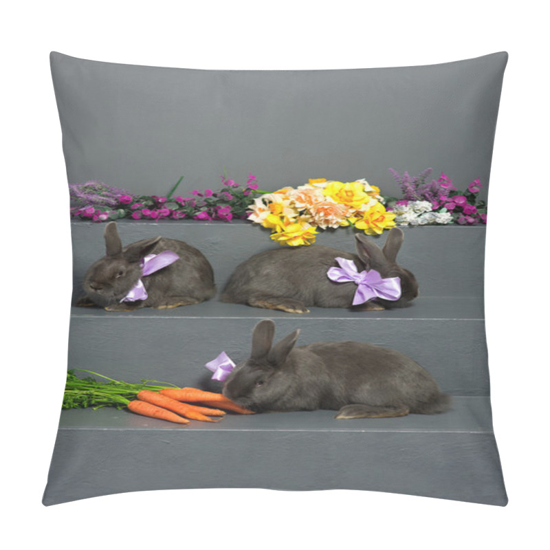 Personality  Hungarian Gray Rabbits  Pillow Covers