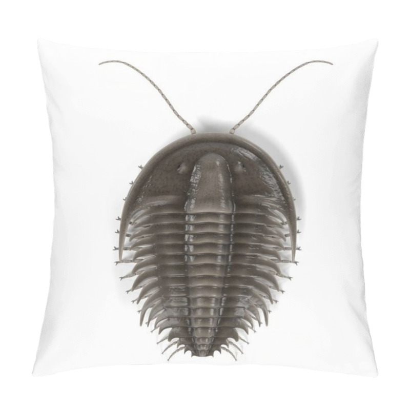 Personality  Realistic 3d Render Of Trilobite Pillow Covers