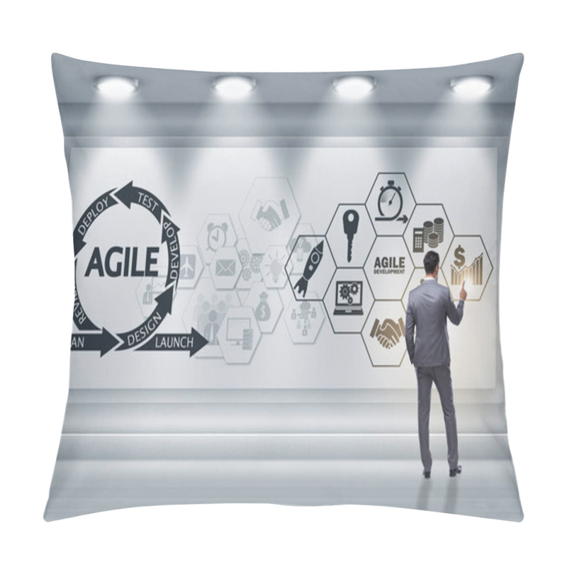 Personality  Businessman In Agile Software Development Concept Pillow Covers