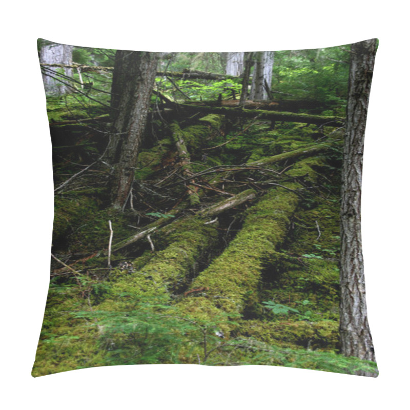 Personality  Mount Robson Provincial Park Pillow Covers