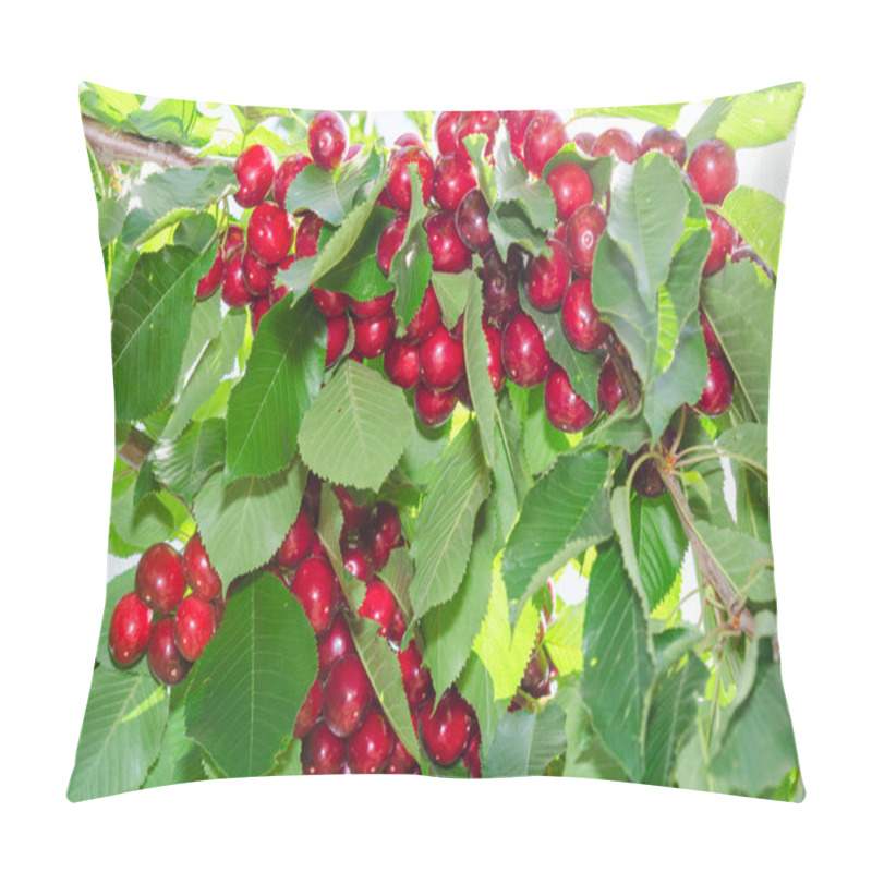 Personality  Branches Of Cherry Tree With Ripe Red Berries Fruits Pillow Covers