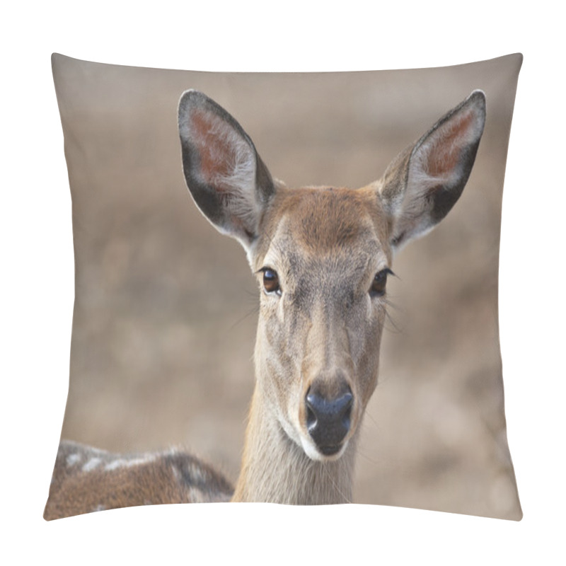 Personality  Closeup Portrait Of An Axis Deer Female On Blur Background. Pillow Covers