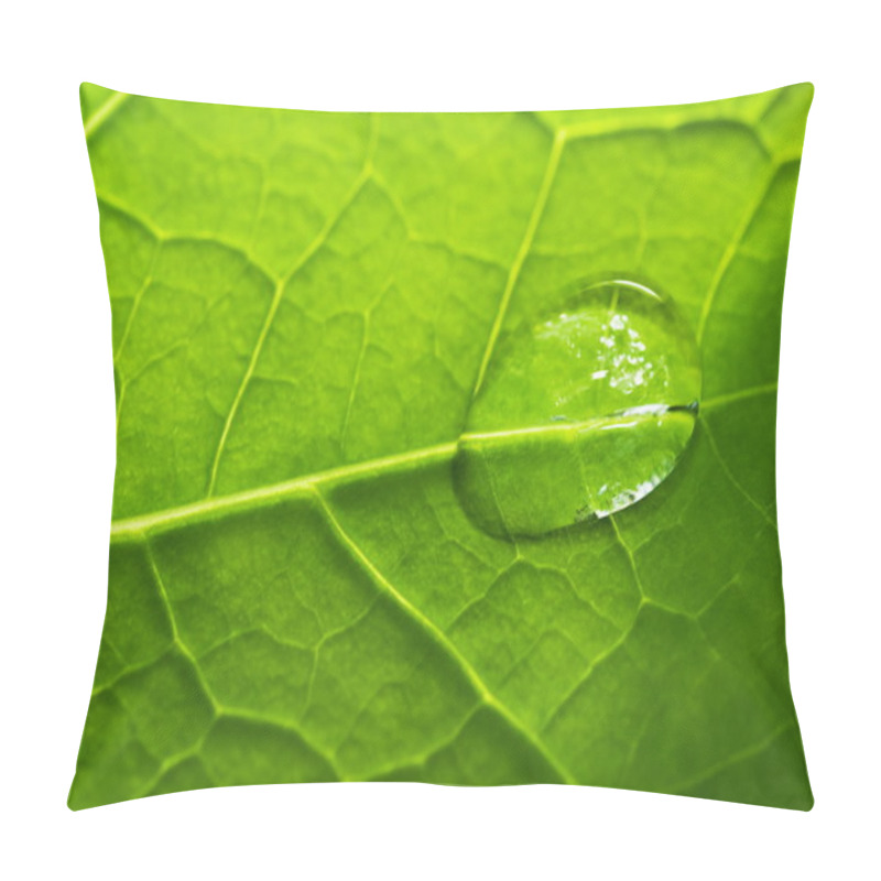 Personality  Green Leaf Texture With Water Drops On It Pillow Covers