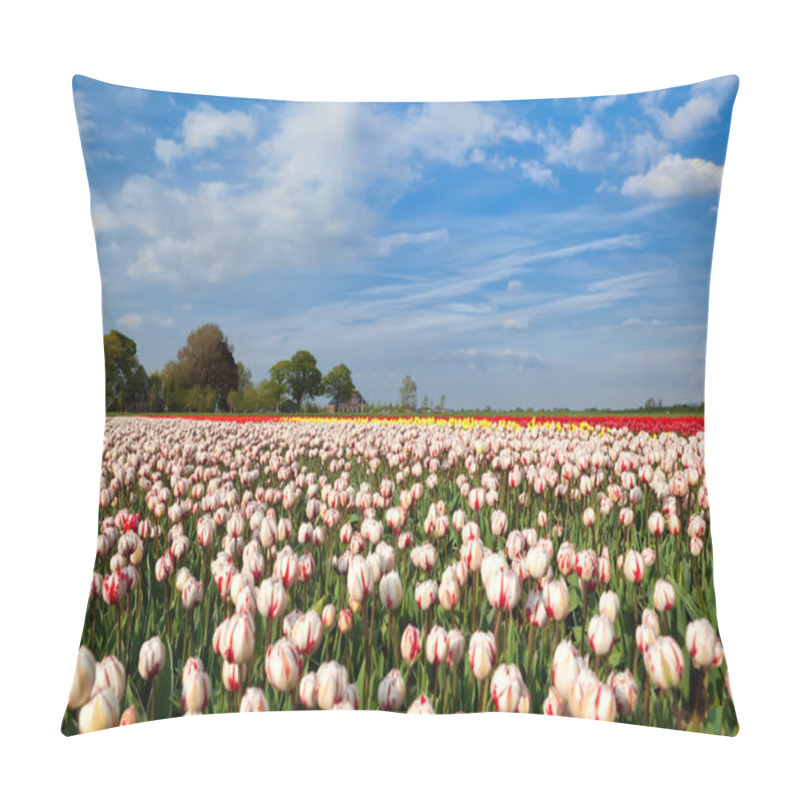 Personality  Red And White Tulipd On Dutch Spring Fields Pillow Covers