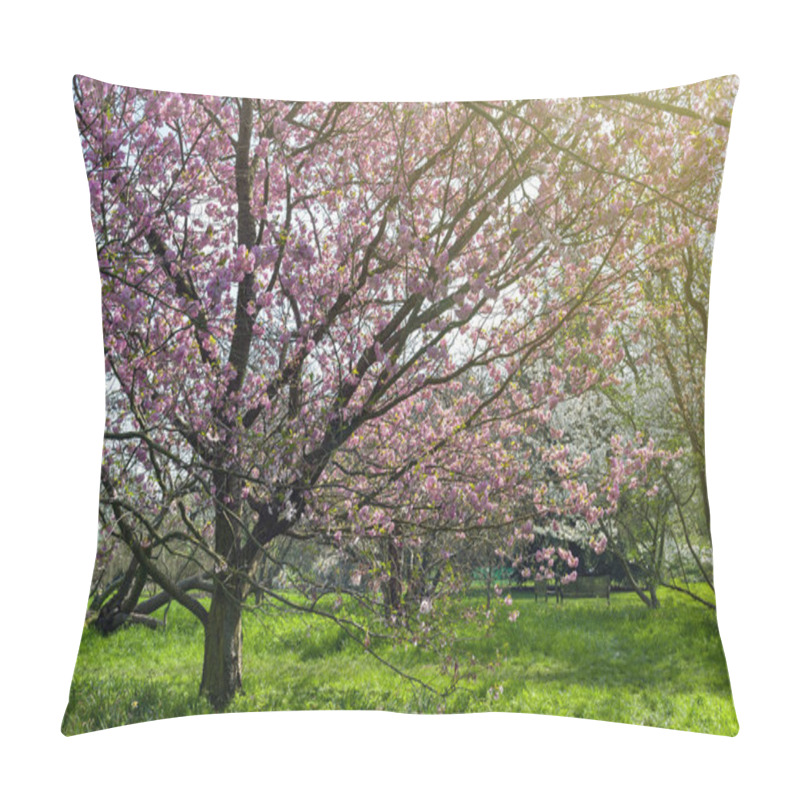 Personality  Blooming Cherry Blossom Trees In The Garden Pillow Covers