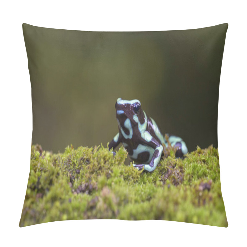 Personality  Dart Poison Frog - Dendrobates Auratus, Green And Black Frog From Cental America Forest, Costa Rica. Pillow Covers