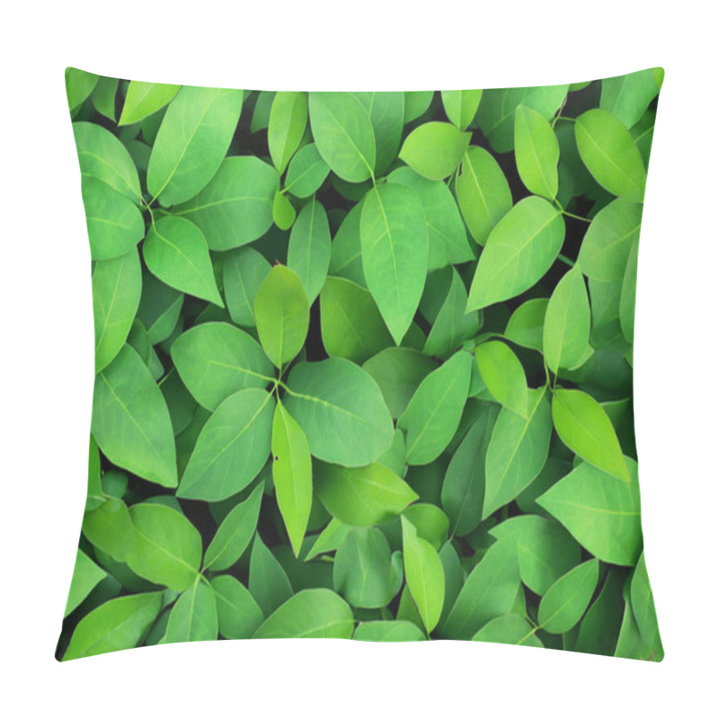 Personality  LeafyPatch: The Perfect Random Leaf Background Collection Pillow Covers