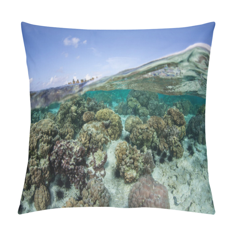 Personality  Reef-building Coral Colonies Pillow Covers