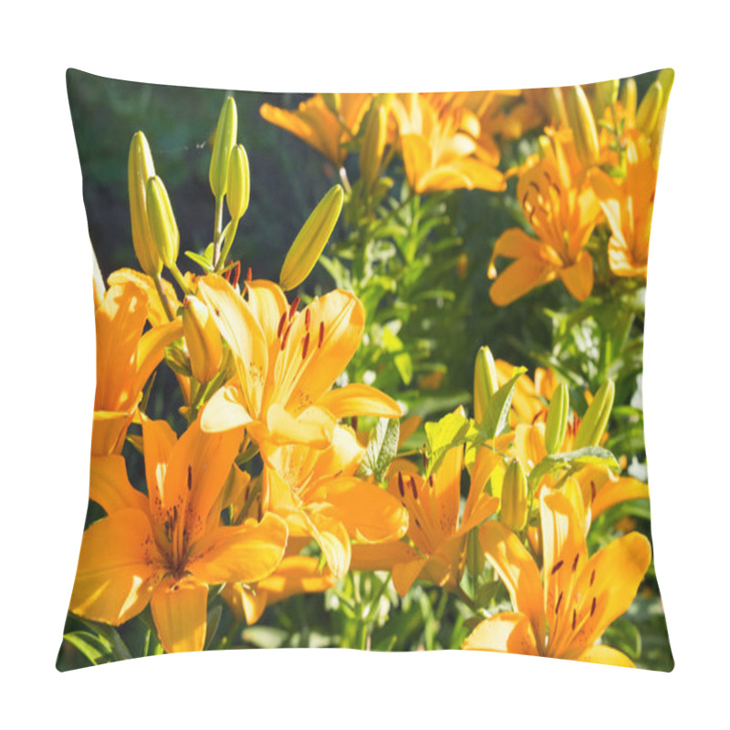 Personality  Growing In The Garden Lilies Under The Sun, A Lot Of Lilies In The Foreground On A Summer Day Pillow Covers