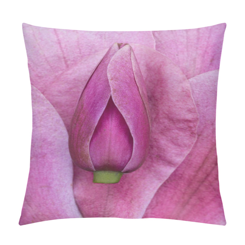 Personality  Pink Magnolia Flower Pod In Macro View Of Nature's Art Pillow Covers