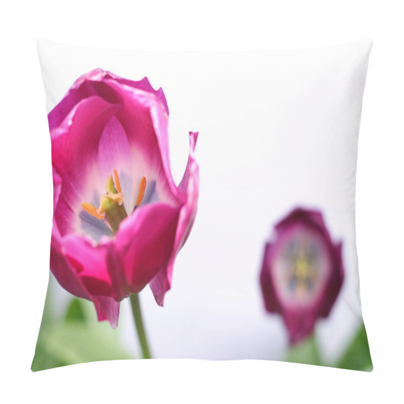 Personality  Purple Tulips Pillow Covers