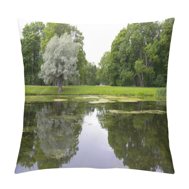 Personality  Russia, Pushkin, Aleksandrovskij Park Pillow Covers