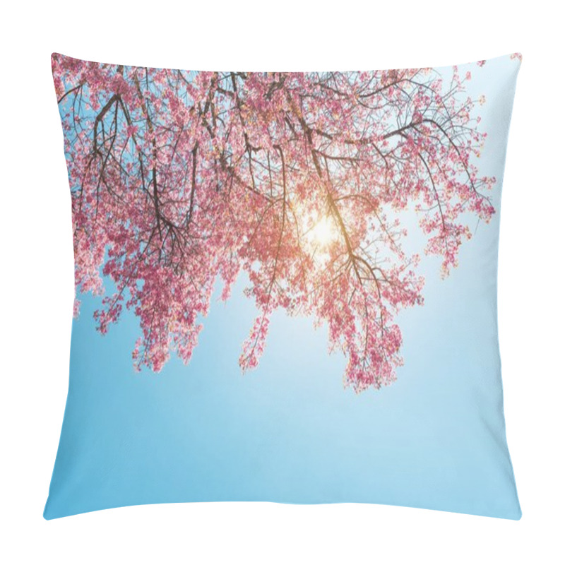 Personality  Beautiful Sakura Flower (cherry Blossom) In Spring. Sakura Tree Flower On Blue Sky.  Pillow Covers