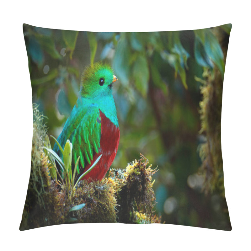 Personality  Quetzal, Pharomachrus Mocinno, From  Nature Costa Rica With Pink Flower Forest. Magnificent Sacred Mystic Green And Red Bird. Resplendent Quetzal In Jungle Habitat. Wildlife Scene From Costa Rica. Pillow Covers