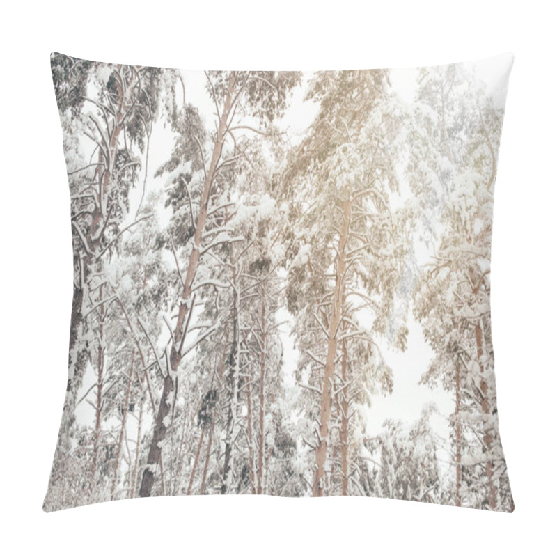 Personality  Low Angle View Of Snowy Pine Trees In Winter Forest Pillow Covers