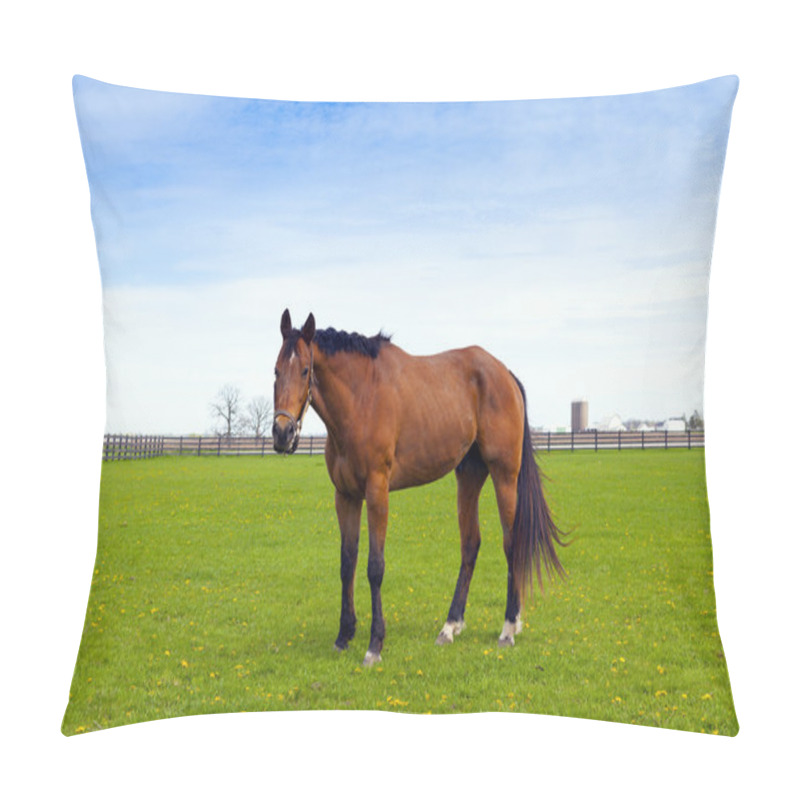 Personality  Brown Horse Pillow Covers