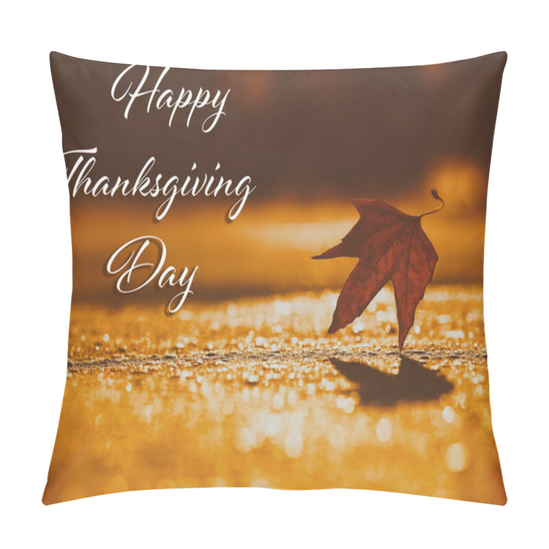 Personality  Happy Thanksgiving Day Pillow Covers