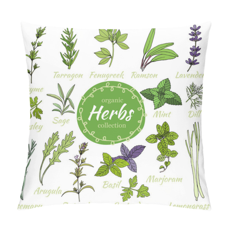 Personality  Vector Collection Of Herbs. Pillow Covers