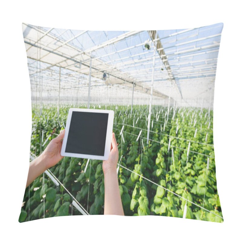 Personality  Partial View Of Woman Holding Digital Tablet With Blank Screen In Greenhouse Pillow Covers