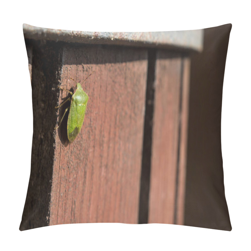 Personality  Green Bug Resting  Pillow Covers