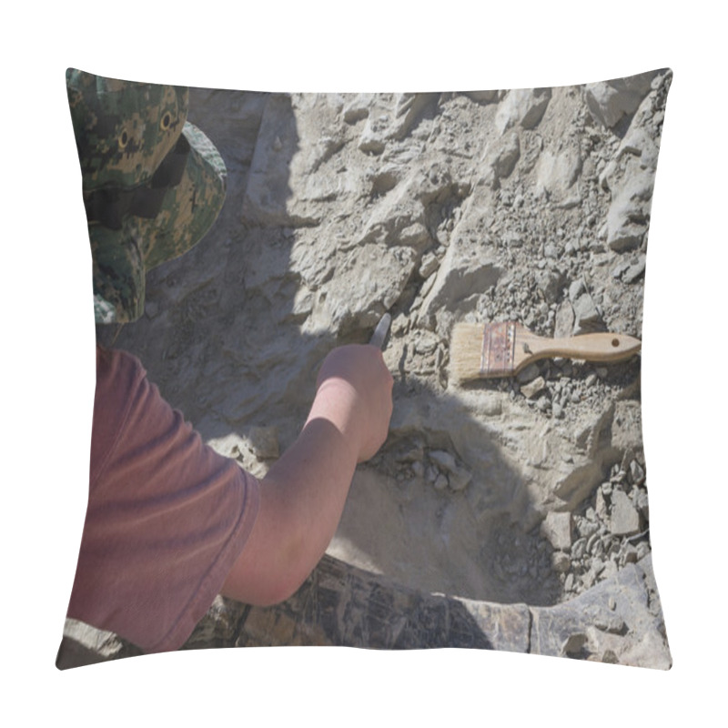 Personality  Archeological Dig Pillow Covers