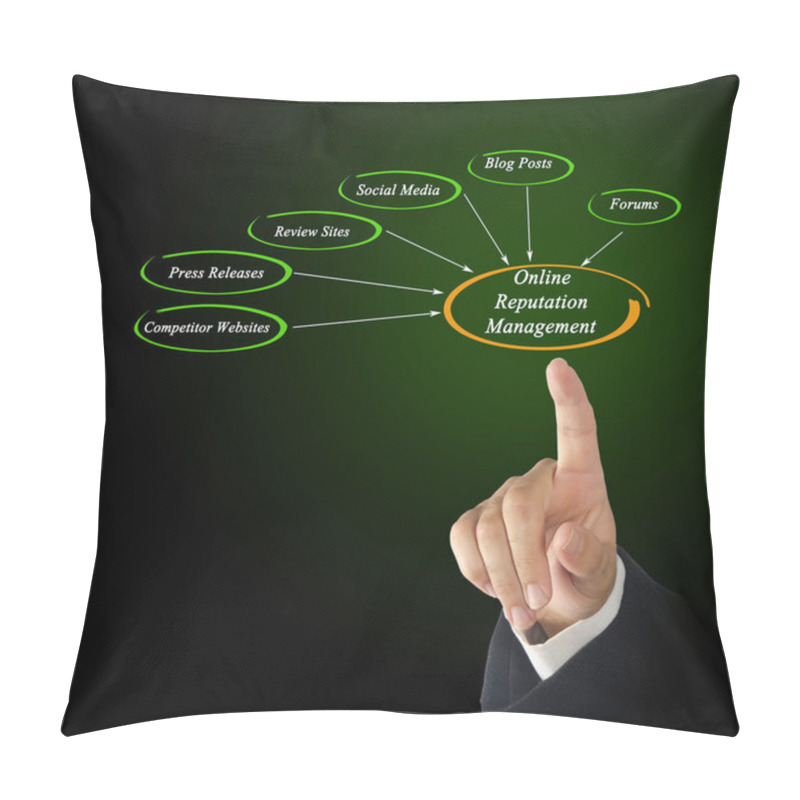 Personality  Online Reputation Management Pillow Covers