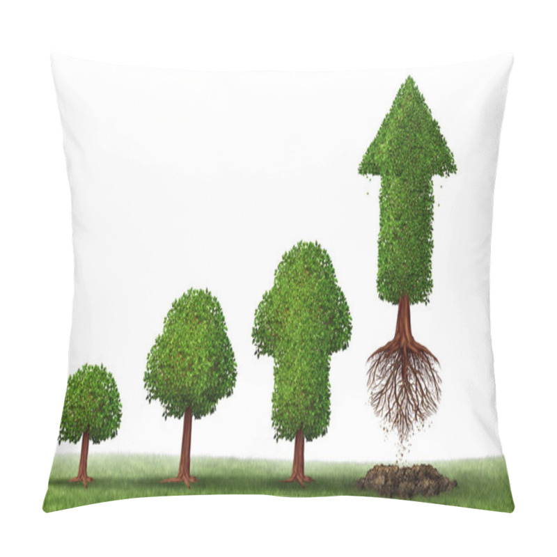 Personality  Investment Maturity Pillow Covers