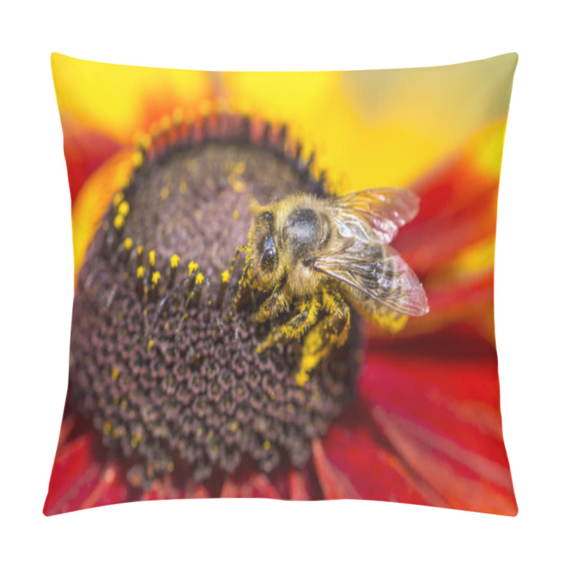 Personality  Close-up Photo Of A Western Honey Bee Gathering Nectar And Spreading Pollen On A Young Autumn Sun Coneflower (Rudbeckia Nitida).  Pillow Covers