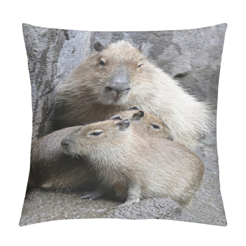 Personality  Capybara Family On Ground Pillow Covers