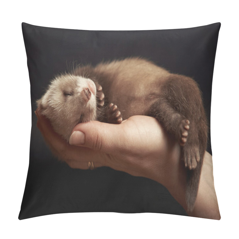 Personality  Little Ferret In Hand Pillow Covers