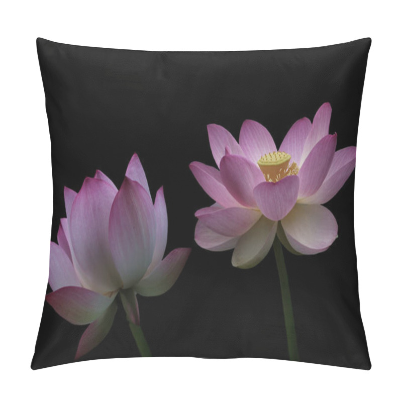 Personality  Pink Lotus Flowers, Isolated On Black Background. Object With Clipping Path. Pillow Covers