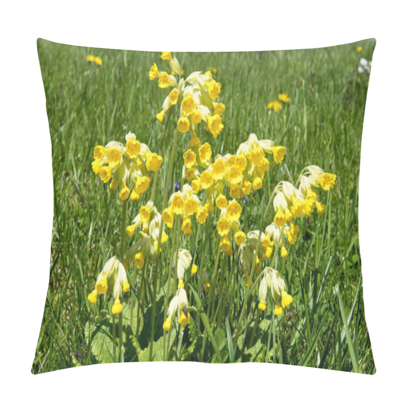 Personality  Yellow Primroses Flowers On Green Meadow Pillow Covers