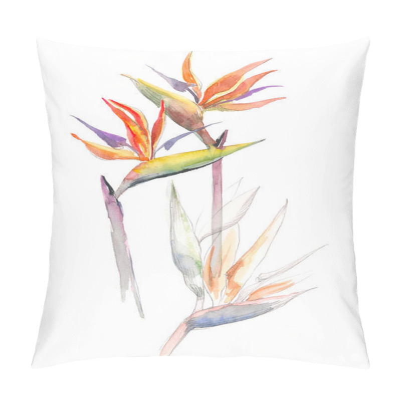 Personality  Strelitzia Tropical Plant. Collection With Hand Drawn Flowers And Leaves. Design For Invitation, Wedding Or Greeting Cards. Pillow Covers