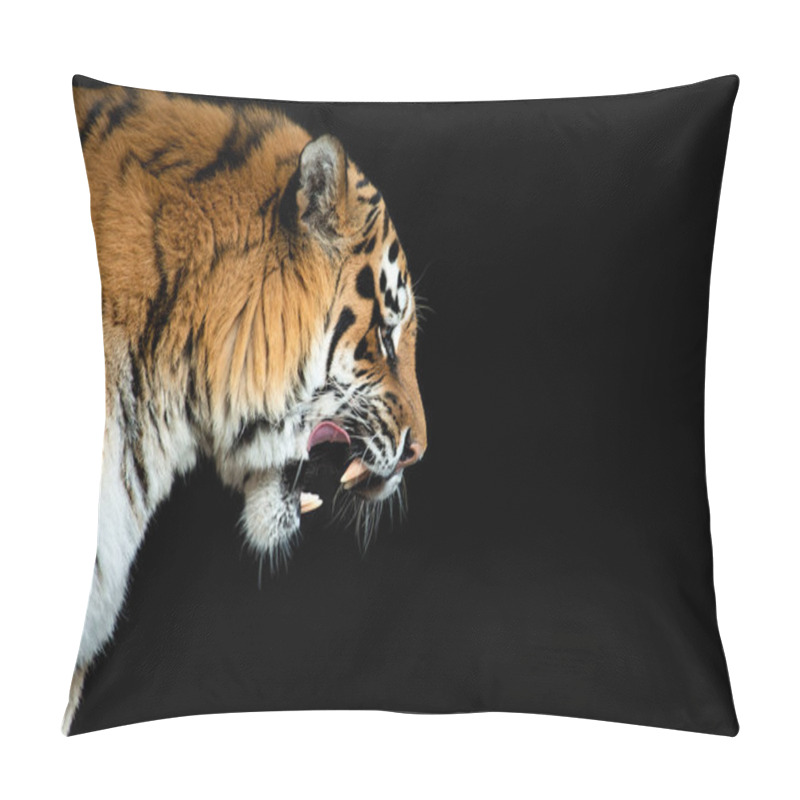 Personality  Beautiful Tiger Portrait On Black Background Pillow Covers