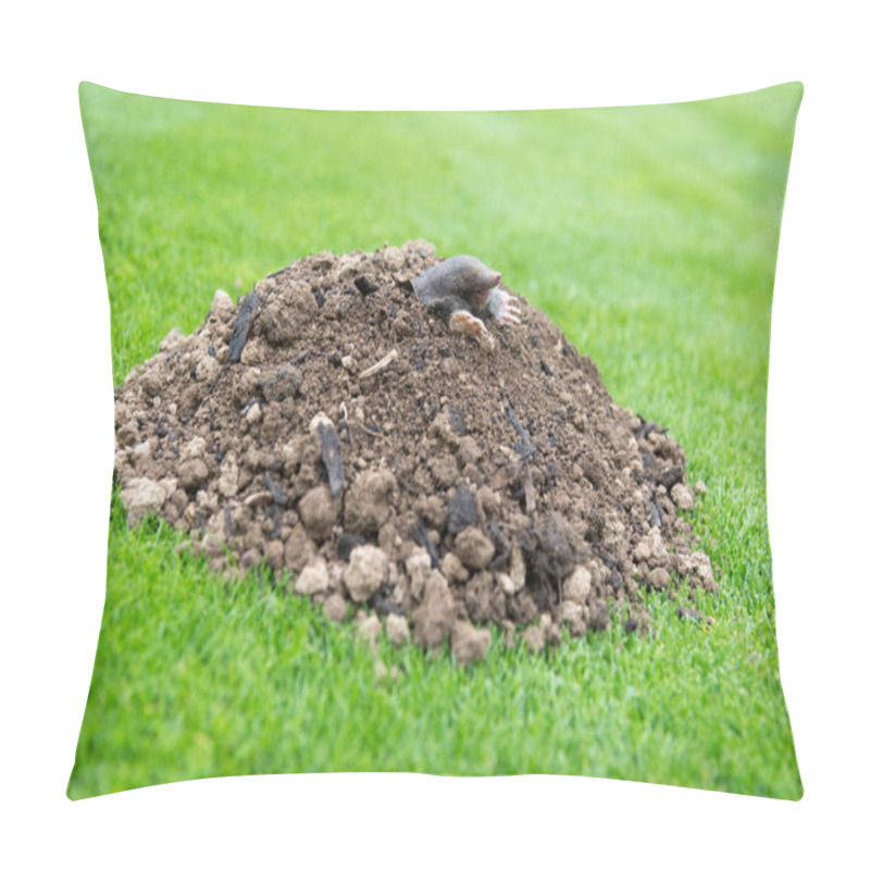 Personality  European Mole Crawling Out Of Molehill Above Ground, Showing Strong Front Feet Used For Digging Underground Tunnels Pillow Covers