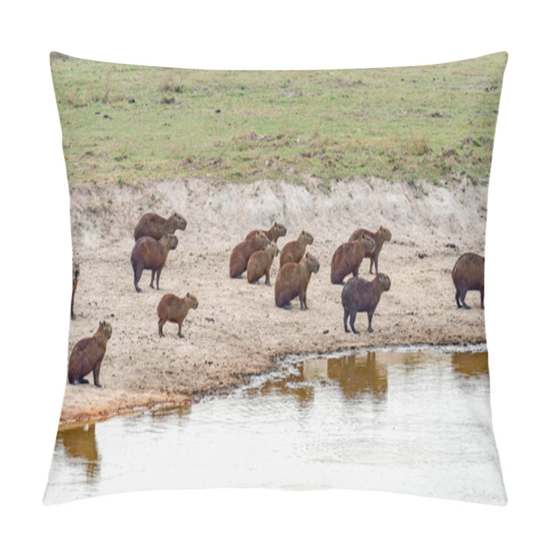 Personality  A Herd Of Capybara Crossing A River With Geese In The Background Venezuela. Pillow Covers