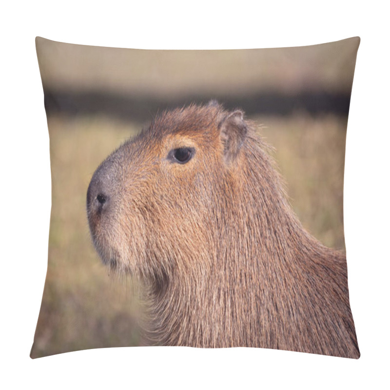 Personality  Capybara, Hydrochoerus Hydrochaeris Pillow Covers