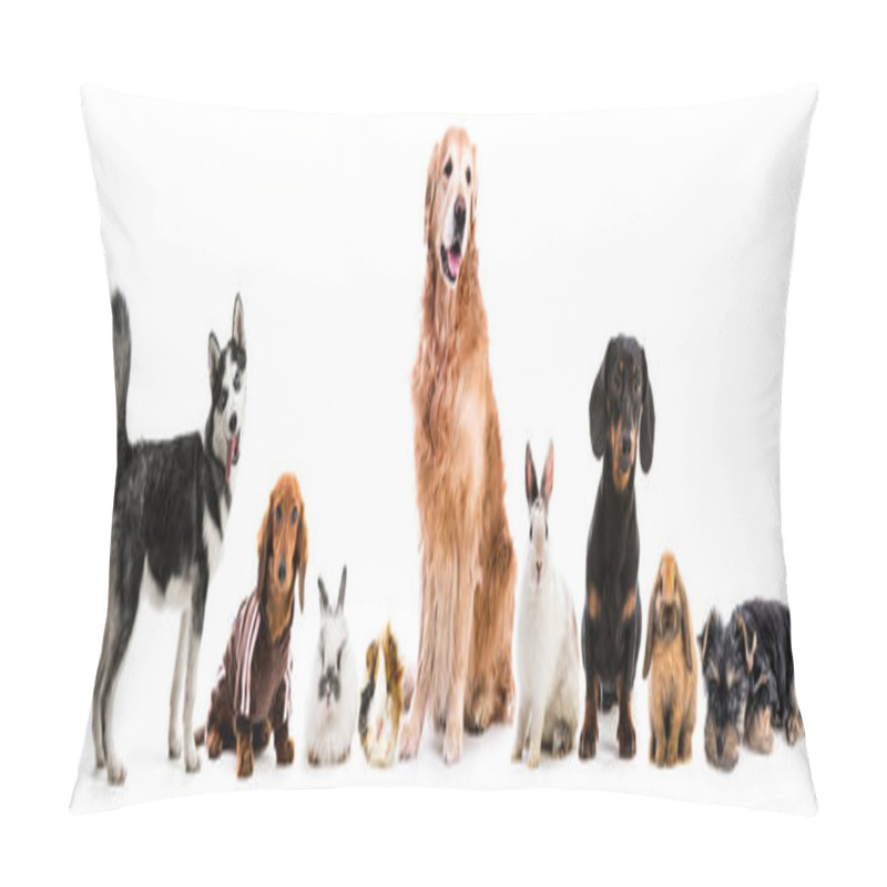 Personality  Collage Of Pets Isolated On White Background Pillow Covers