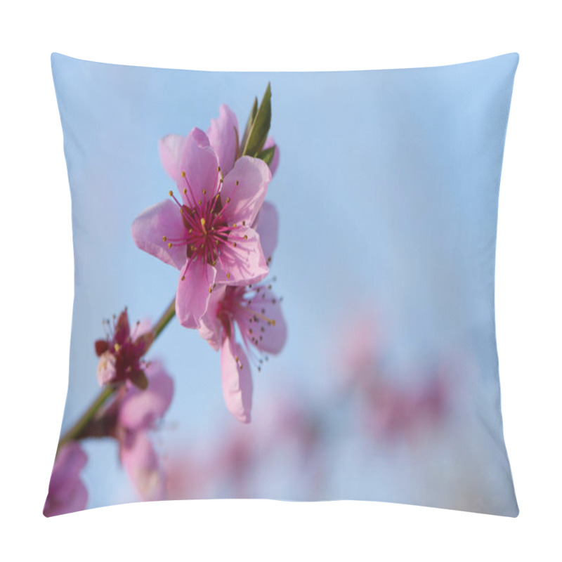 Personality  Sprig Of Flowering Peach. Peach Blossom. Delicate Pink Spring Flowers In The Garden. Young Green Leaves. Trees Are Blooming. Beautiful Floral Background. Nature, Close-up Pillow Covers