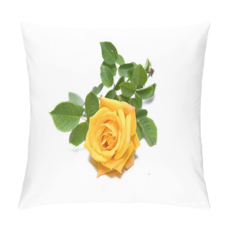 Personality  Yellow Rose Isolated On White Background  Pillow Covers