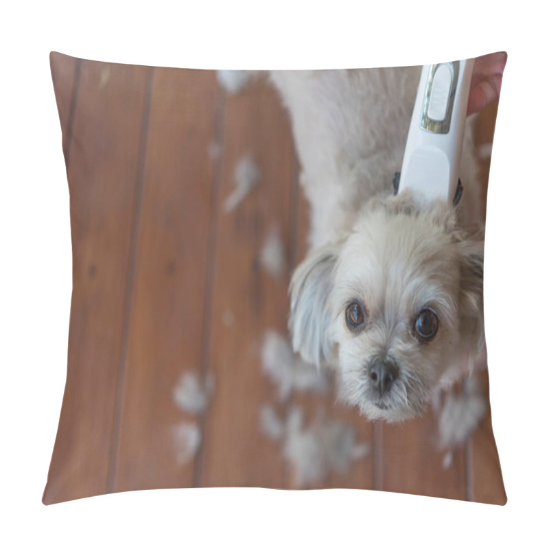 Personality  Grooming And Haircut The Dog Fur Of Beige Dog So Cute Mixed Breed With Shih-Tzu, Pomeranian And Poodle By Human With Dog Clipper Pillow Covers