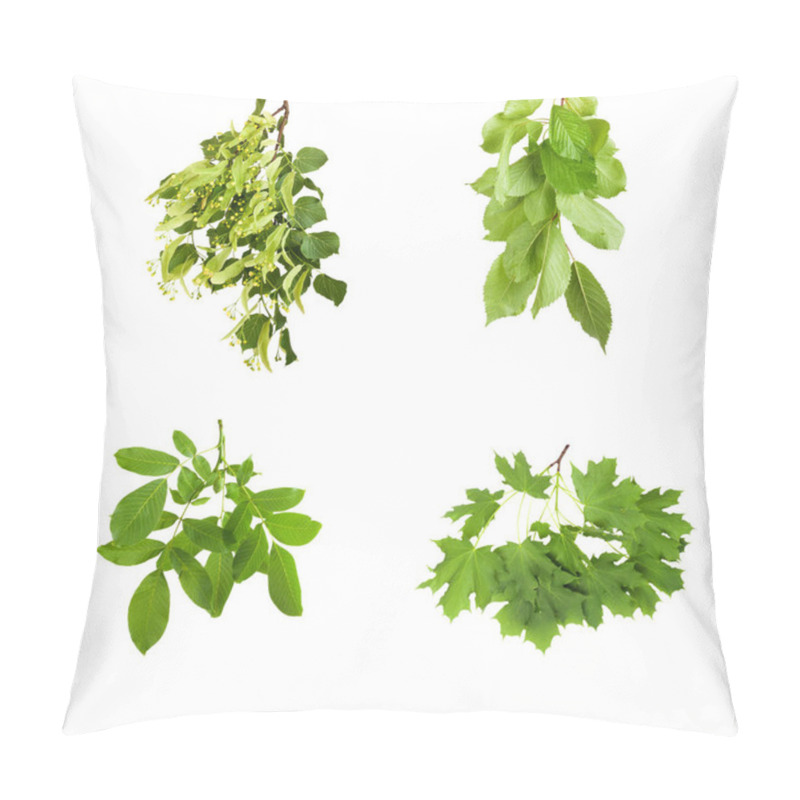 Personality  Branch With Green Leaves Isolated On White Background  Pillow Covers