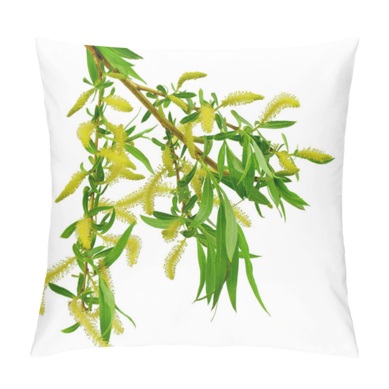 Personality  Blooming Willow Branch Isolated On White Background. / Without S Pillow Covers